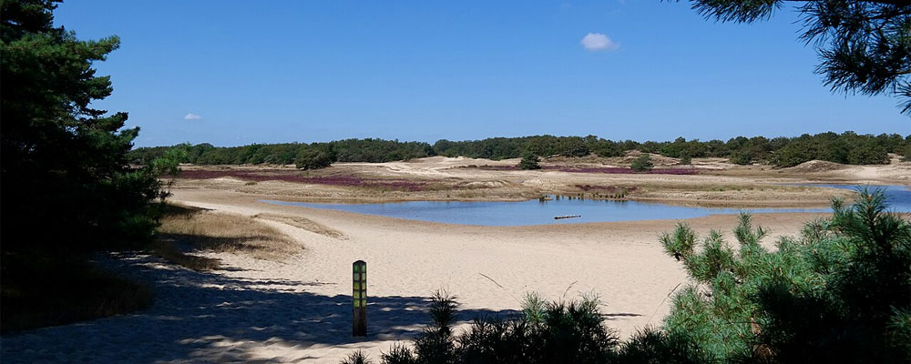 Loonse en Drunense duinen Loonse en Drunense duinen