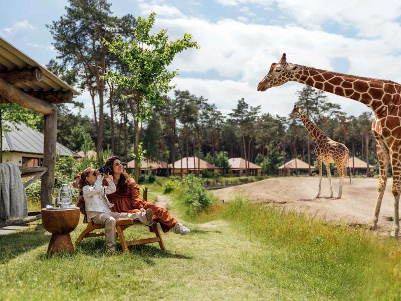 Foto van Safari Resort Beekse Bergen