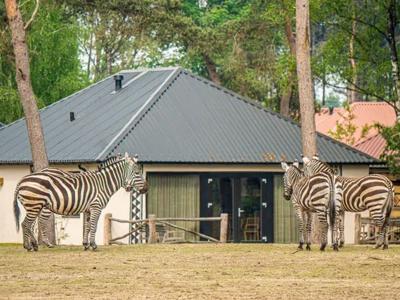 Thumbnail 4 van Safari Resort Beekse Bergen