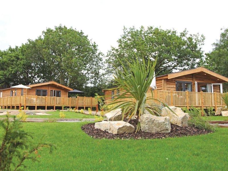 Foto van Landal Marwell Resort