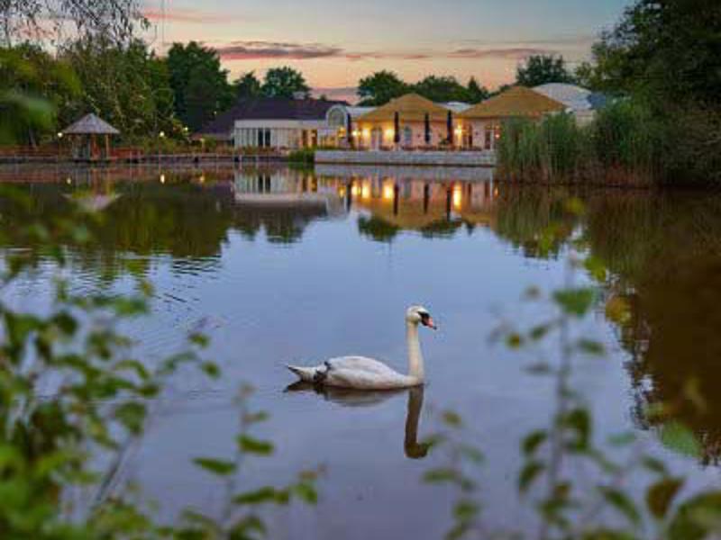 Foto van Center Parcs Limburgse Peel